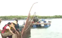 Trải nghiệm cuộc sống sông nước tại Vũng Tàu