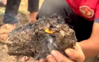 Gia Lai: Sự thật về thông tin ruộng lúa tự bốc cháy