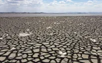 155 người tử vong do sóng nhiệt cực đoan ở Mexico trong 3 tháng qua