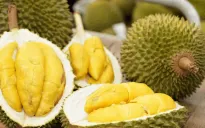 Sầu riêng Việt thêm đối thủ tại thị trường Trung Quốc