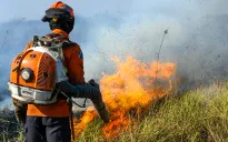 Thế giới chưa sẵn sàng cho cháy rừng do biến đổi khí hậu