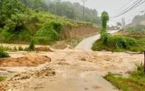 Mưa lớn kéo dài gây nhiều thiệt hại về tài sản và hoa màu ở Yên Bái