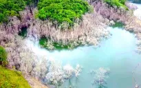 Kon Tum chỉ đạo xử lý kiểm điểm trách nhiệm vụ thủy điện làm ngập chết 25 ha rừng