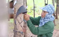 Sự trở về của những người dân lạc lối theo tổ chức lưu vong Fulro