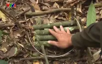 Nhức nhối nạn bẫy thú rừng trong Khu bảo tồn thiên nhiên Bắc Hướng Hóa