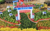 Cần Thơ tổ chức Ngày hội Du lịch sinh thái Phong Điền 2024