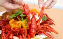 Tràn lan tôm hùm đất nhập lậu