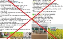 Bán giống lúa giả trên mạng xã hội, 7 đối tượng chiếm đoạt gần 8 tỷ đồng