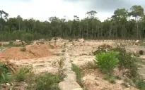 Chiêu thức phân lô, bán nền trái phép trên đảo Phú Quốc