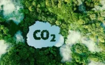 Có rừng là có tín chỉ carbon?