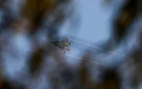 Hezbollah không kích lớn chưa từng thấy vào căn cứ của Israel ở cao nguyên Golan