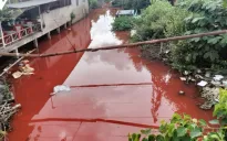 Cà Mau: Nước kênh có màu đỏ do người dân... rửa thùng sơn