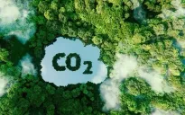 Net Zero - Gửi Tương Lai: "Kho báu CO2"
