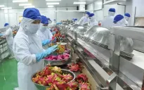 Doanh nghiệp xuất khẩu “đứng ngồi không yên” vì thiếu lao động
