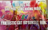 Triển khai kế hoạch tổ chức giải Marathon quốc tế VTV
