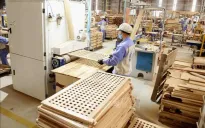 Xuất khẩu gỗ và sản phẩm gỗ tăng trưởng tích cực