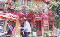 Nhiều địa điểm kiến trúc cổ tại Hà Nội thu hút khách du lịch