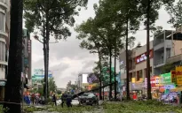Cành cây gãy đè trúng ô tô, rạp cưới bị xô đổ trong mưa dông ở TP Hồ Chí Minh