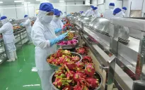 Giải pháp khơi thông thị trường cho rau quả