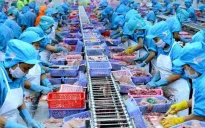 Phó Thủ tướng chỉ đạo tháo gỡ khó khăn cho các doanh nghiệp thủy sản