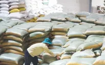 Cần chiến lược về giá nông sản xuất khẩu