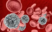 Thêm hy vọng về khả năng chữa khỏi bệnh HIV/AIDS