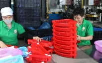 Từ 1/7/2025: Đã rút BHXH 1 lần vẫn được hưởng lương hưu?