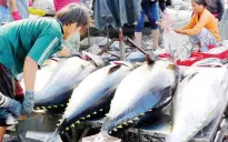 Tiêu thụ OCOP qua ẩm thực tăng mạnh