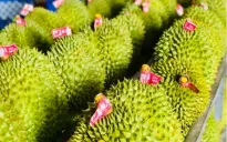 Xuất khẩu rau quả tăng mạnh ước đạt gần 4 tỷ USD