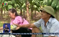 Việt Nam hôm nay - 20/7/2024