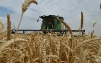 Xuất khẩu lúa mỳ của Nga đạt kỷ lục trong lịch sử hiện đại