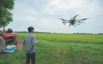 Cần "sếu đầu đàn" để phát triển nông nghiệp công nghệ cao