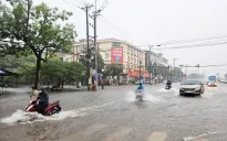 Hàng loạt cây xanh gãy đổ, lều quán bị tốc mái, nhiều nơi ngập lụt sau bão số 2