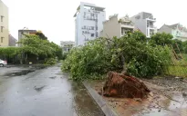 Bão số 2 gây một số thiệt hại trên địa bàn Quảng Ninh, Hải Phòng