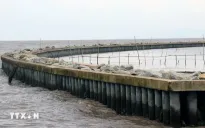 Kiên Giang có 21 điểm sạt lở bờ biển với tổng chiều dài khoảng 122km