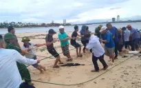 Ba tàu cá gặp nạn, ngư dân bơi vào bờ thoát nạn