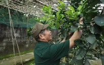 Những thương binh xướng "bài ca vỡ đất" dưới chân đèo Tằng Quái