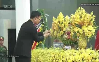 Bản tin tiếng Việt 21h VTV4 - 25/7/2024