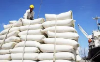 Giá gạo giảm chỉ là xu hướng ngắn hạn