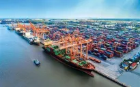 Doanh nghiệp ứng phó với cước vận tải biển tăng cao