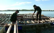 Cựu thanh niên xung phong Quảng Bình giúp nhau xây dựng cuộc sống