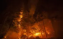Ô nhiễm không khí do cháy rừng ở California, Mỹ