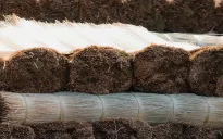 Làng chiếu Định Yên Từ truyền thống đến tương lai