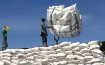 Nhiều mặt hàng nông sản có giá trị xuất khẩu cao