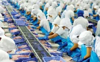 Xuất khẩu thủy sản khởi sắc
