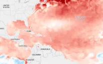 Bão Debby dự kiến đổ bộ bang Florida cuối tuần này với mưa xối xả và gió mạnh