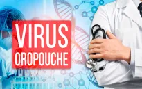 Số ca nhiễm virus Oropouche tăng nhanh ở khu vực Mỹ Latin