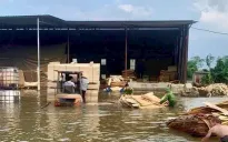 Gần 80 nhà dân và xưởng gỗ ngập úng do Thủy điện Thác Bà xả lũ