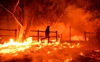 Cháy rừng thiêu rụi nhiều ngôi nhà trên sườn đồi, cư dân buộc phải sơ tán ở miền Nam California