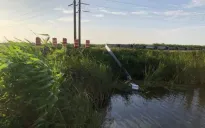 Tai nạn nghiêm trọng ở Mỹ: Ô tô lao xuống kênh, 9 người thiệt mạng